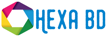 Hexa BD - Information Tech
